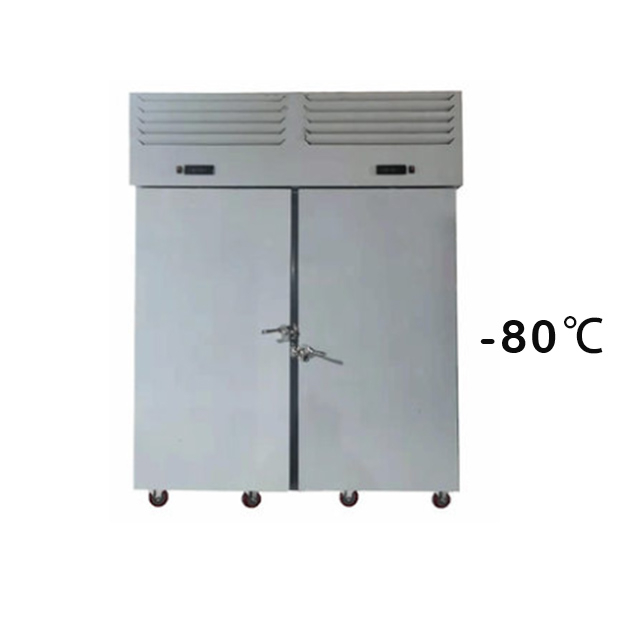Prosky 40托盘SAGA 1250L -80℃专业冰块爆炸冷冻冷却器用于鱼和鸡肉