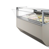 Prosky Freezer现代大型自动冻土盒冰淇淋显示器